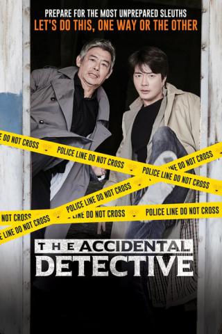 Детектив по случайности (2015)